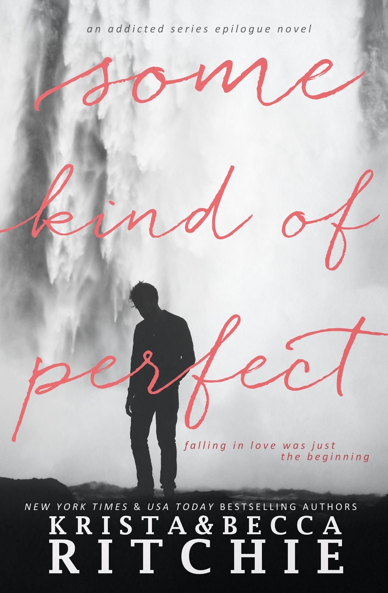 Some kind of perfect by Krista Becca Ritchie